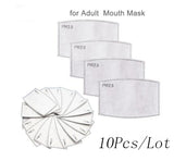 PM2.5 Protective Mask